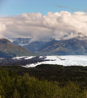轰炸电话号码网站